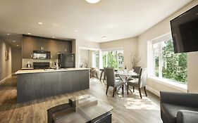 Solo Suites